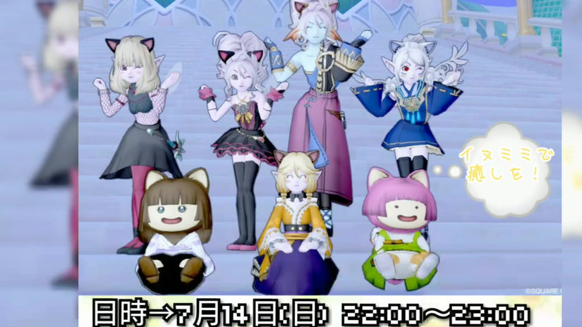 第5回イヌミミドレア集会